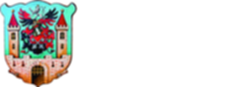 STADT LUBAN